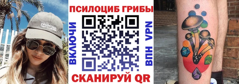 как найти закладки  Островной  Галлюциногенные грибы Psilocybine cubensis 