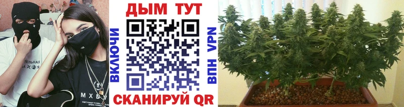 МАРИХУАНА индика  купить наркоту  Островной 